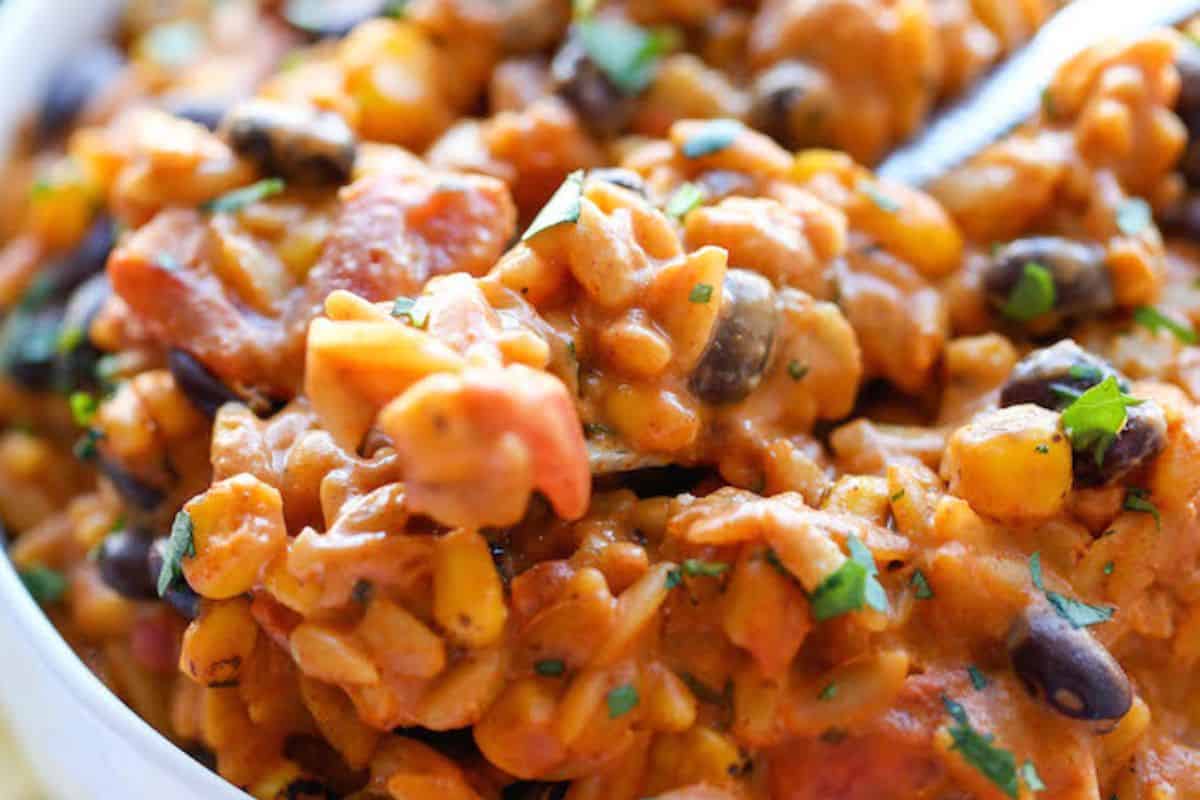 Close up of enchilada orzo.