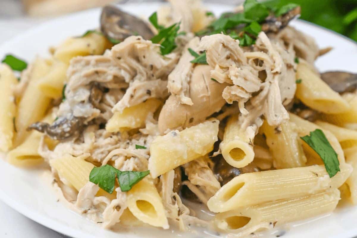 A plate of pasta and chicken mixed together. The chicken and pasta have a creamy mixture on it, topped with mushrooms and parsley. 