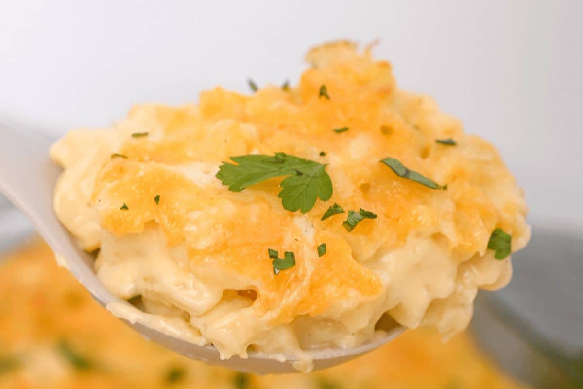 On a spoon, a piece of mac and cheese is sitting topped with a sprig of parsley. The bottom portion of the mac and cheese looks creamy while the top crust is a darker yellow firmer consistency. 