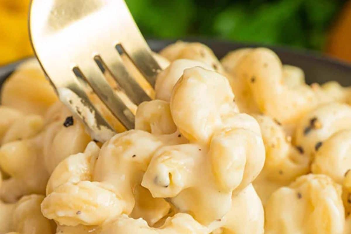Close-up of some creamy white cheddar mac and cheese on a silver fork.