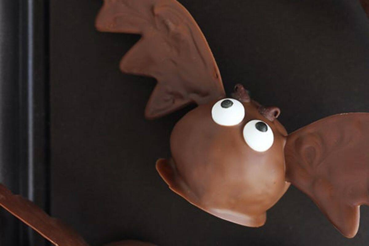 A close-up of a Halloween treat shaped like a bat. It has a round chocolate body, large candy googly eyes, and chocolate wings on a black background.