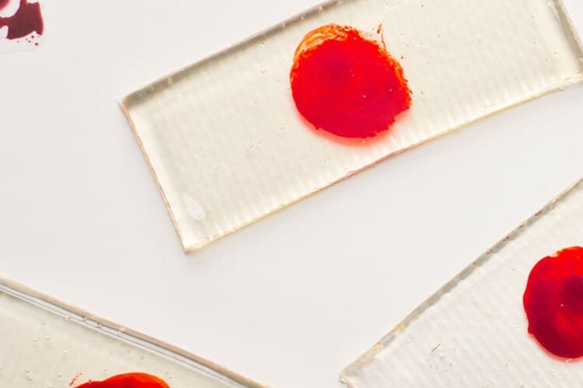 A close-up of two rectangular clear candies, possibly made from gelatin or hard candy, with a red circular substance on top, resembling blood smears on microscope slides.