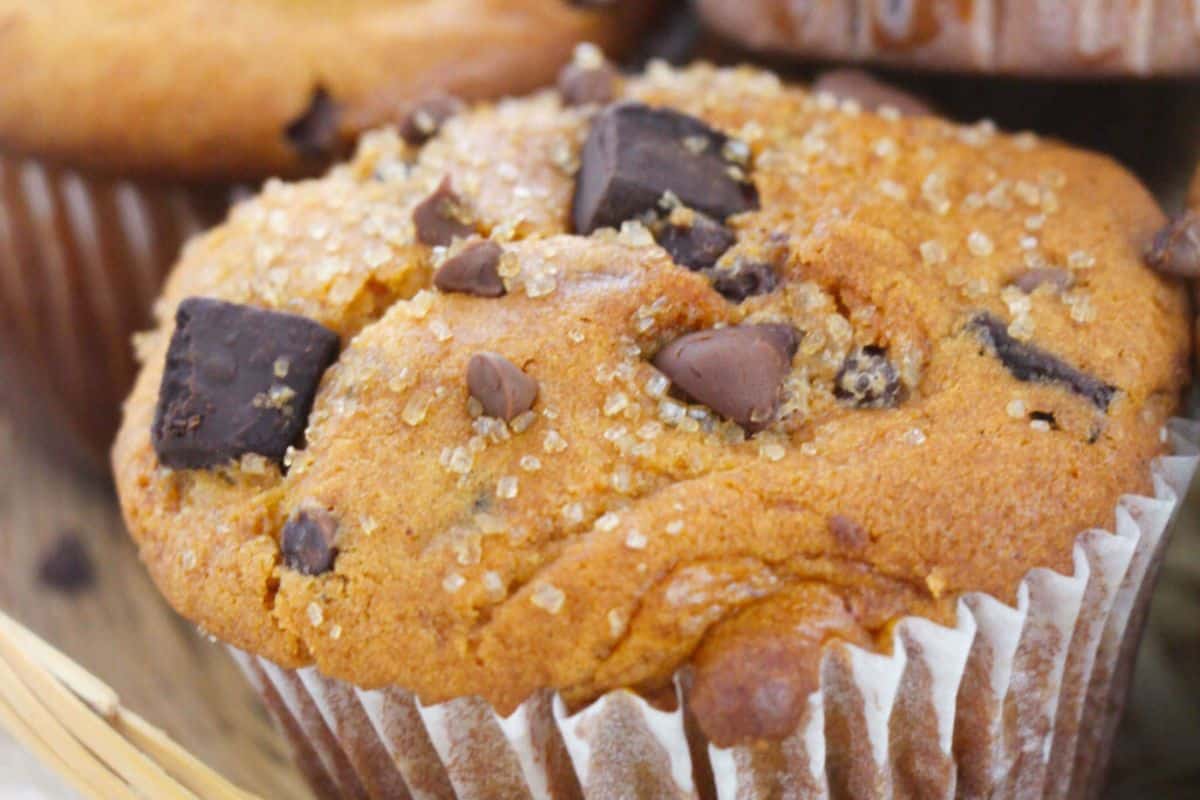 A close-up of a bakery style chocolate chip muffin.