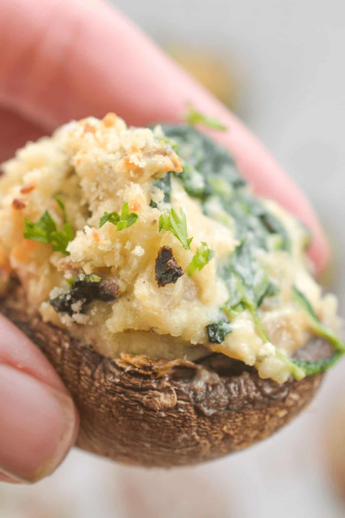 A hand holds a stuffed mushroom with a creamy Boursin cheese filling, topped with fresh herbs.
