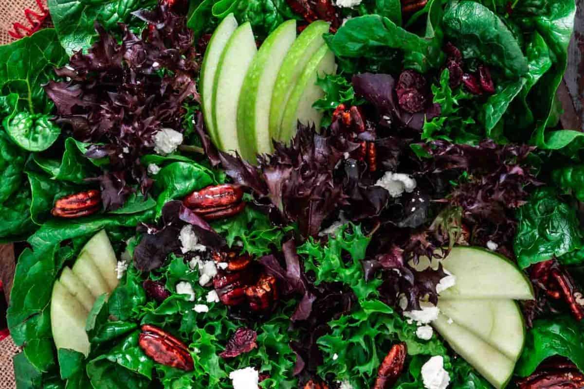A close-up of the winter salad with apples, spiced candied pecans, cranberries and goat cheese.