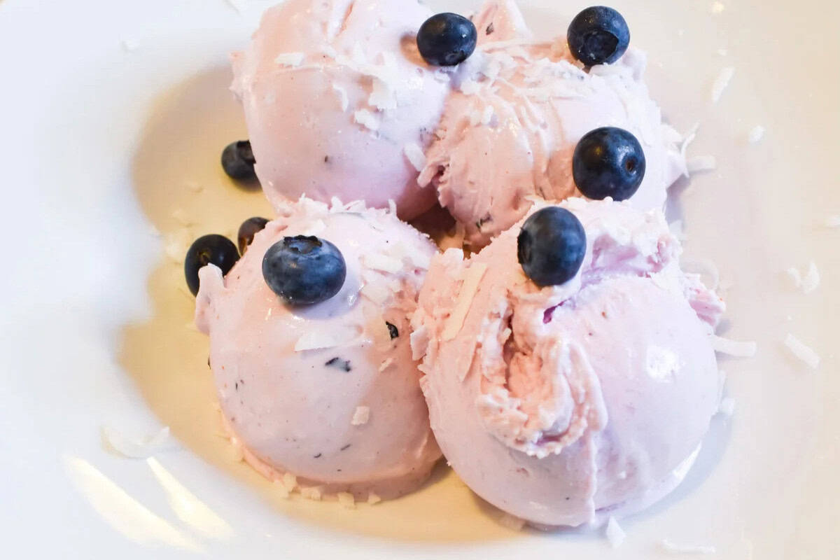 Blueberry Coconut Frozen Yogurt
