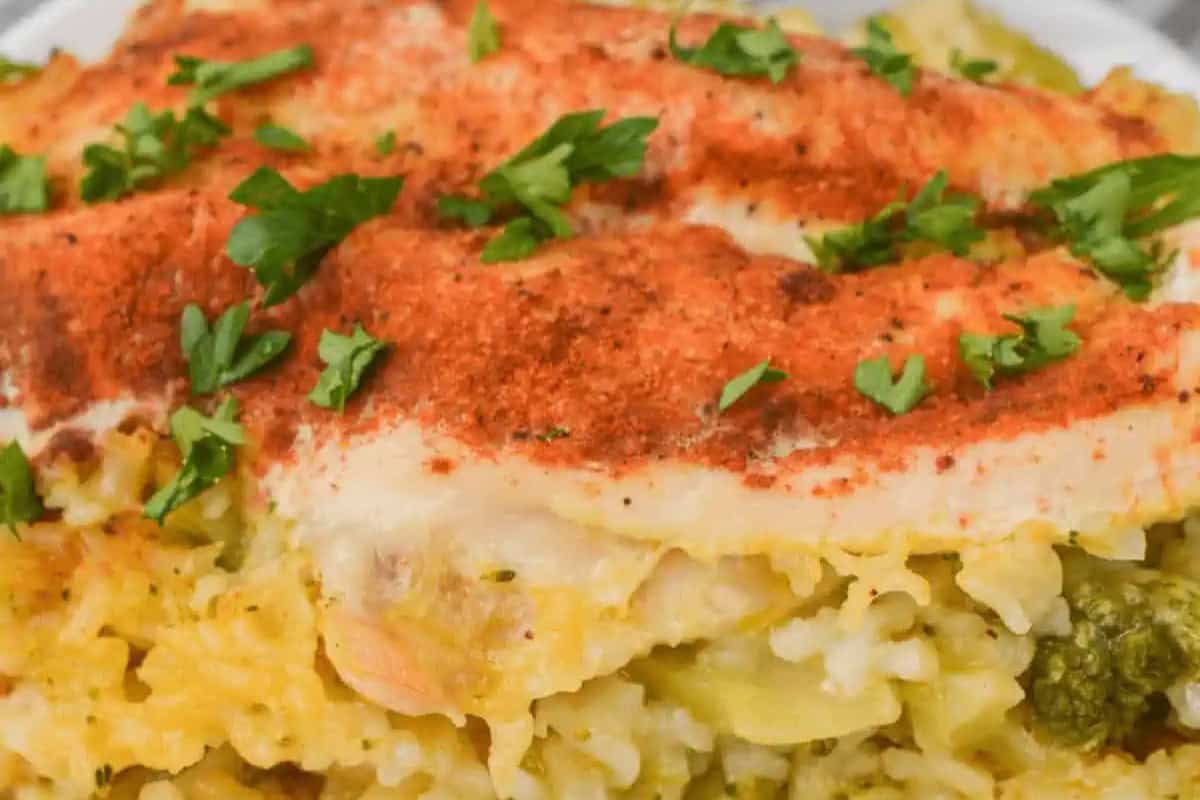 A close-up of a baked casserole featuring layers of creamy cheese sauce, rice or pasta, vegetables, and tender chicken—classic comfort food—finished with paprika and fresh parsley on top.
