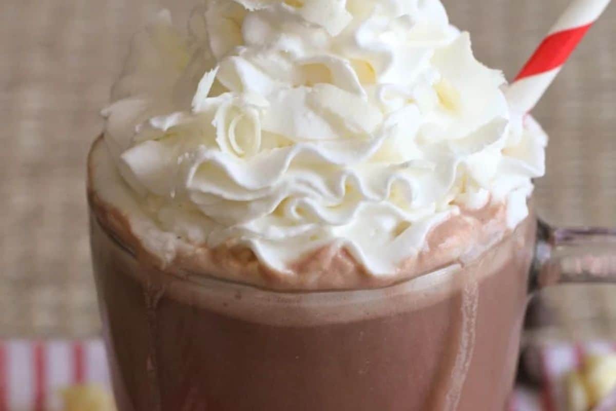 A glass mug of creamy hot chocolate topped with whipped cream and a red and white striped straw—perfect for fans of warm drinks.