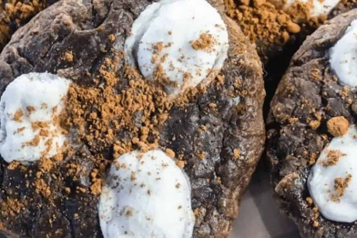 Rich chocolate cookies with gooey marshmallows and mini chocolate chips, inspired by hot cocoa.