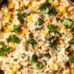 A bowl of creamy Mexican Street Corn Dip topped with cotija cheese, cilantro, and chili powder.
