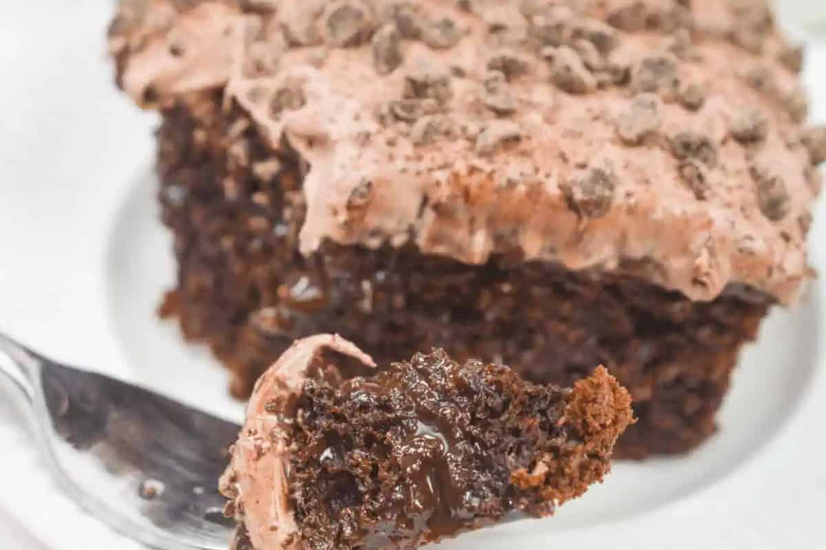 A close-up of a slice of chocolate cake with rich frosting and chocolate chips, inviting you to indulge. A fork holds a bite-sized piece in the foreground—perfect for anyone seeking the ultimate collection of chocolate recipes.