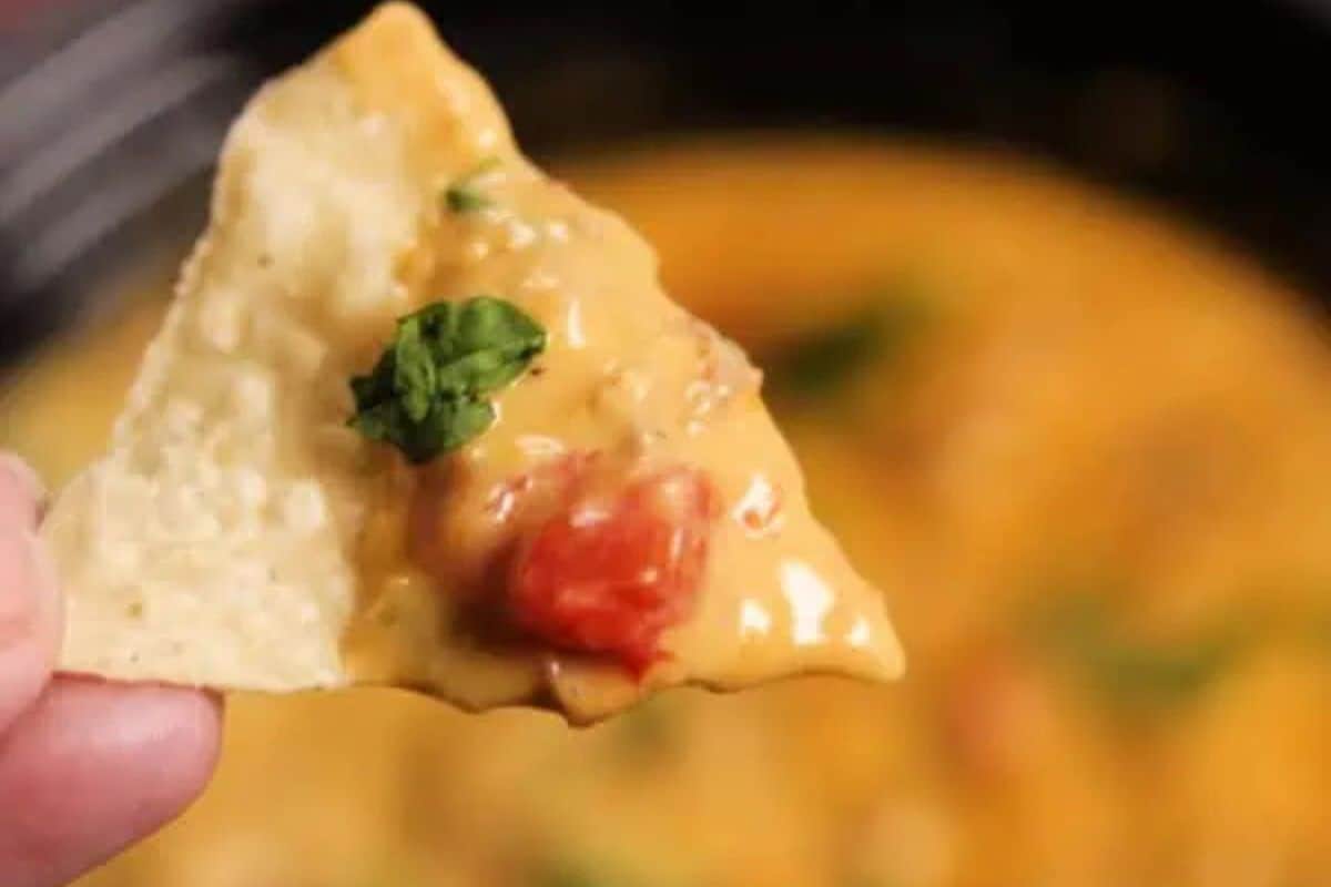 A tortilla chip topped with melted cheese, red tomato pieces, and a green herb garnish is the perfect snack to score big points at your Super Bowl party.