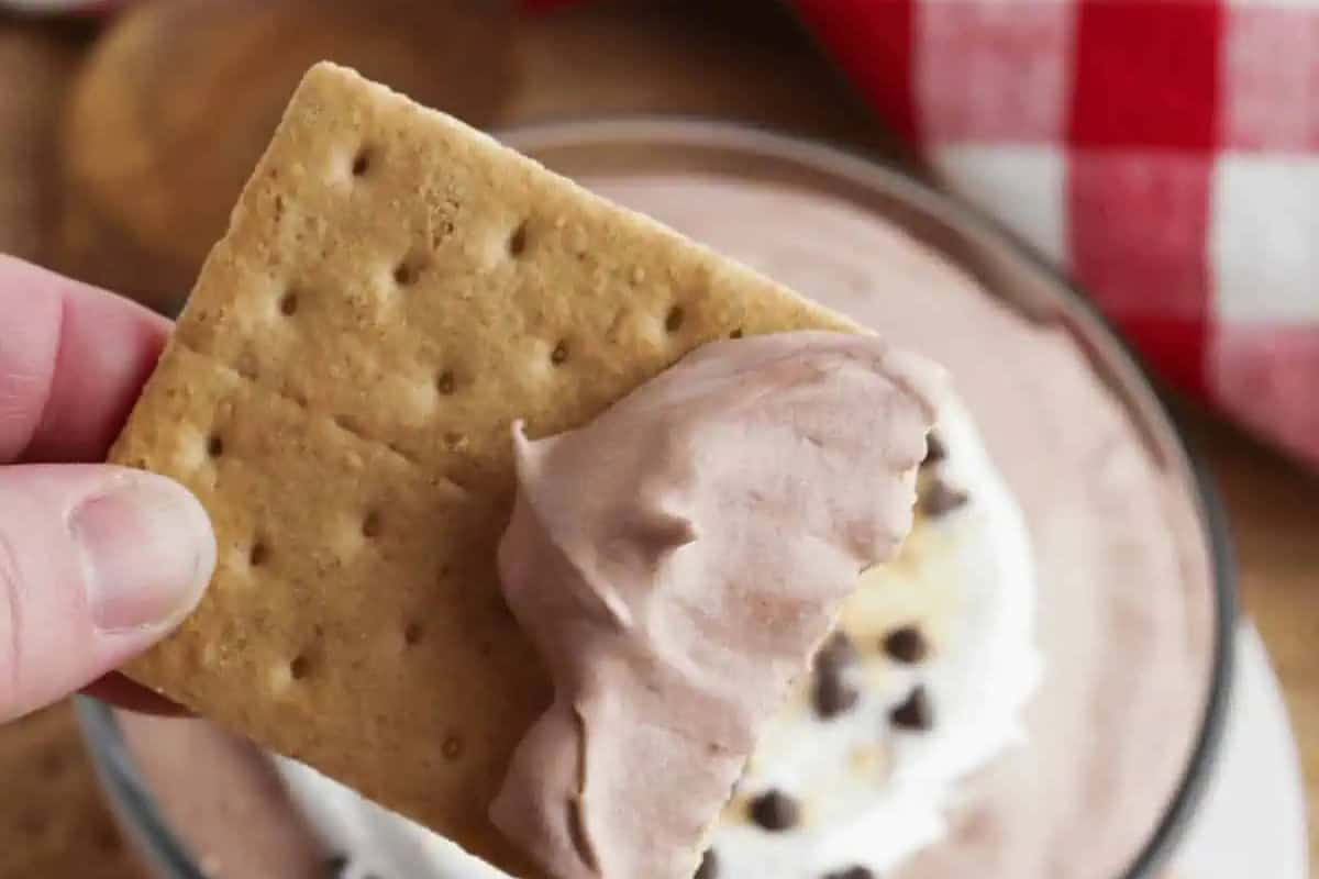 A hand holds a graham cracker dipped in chocolate mousse, with whipped cream and chocolate chips visible in the background—an irresistible treat for those who love to indulge in decadent chocolate recipes.