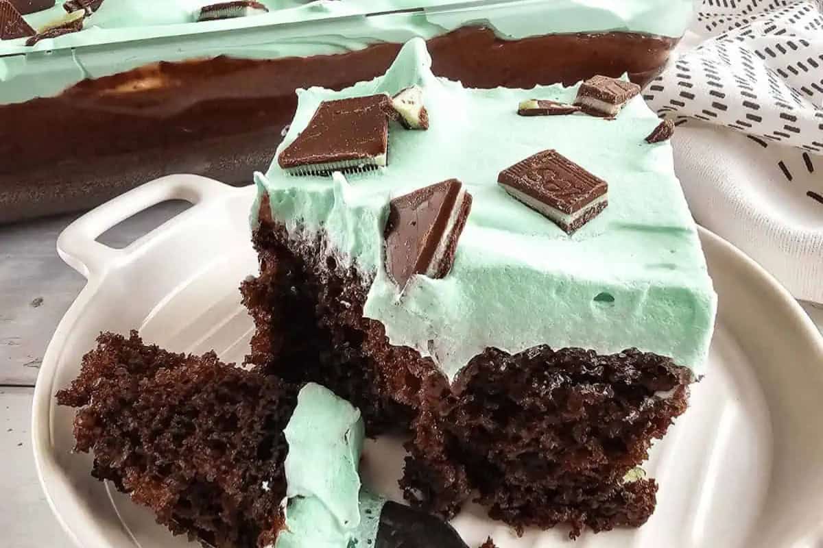 Indulge in a slice of chocolate cake topped with light green mint frosting and chocolate pieces, served on a white plate with a fork. A pan of cake tempting you from the background completes this ultimate collection dessert.