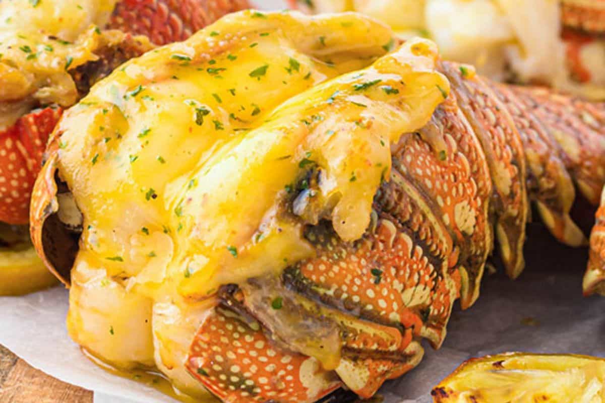 A cooked lobster tail topped with melted cheese and herbs, served on parchment—perfect for special dinners or when searching for indulgent lobster recipes.