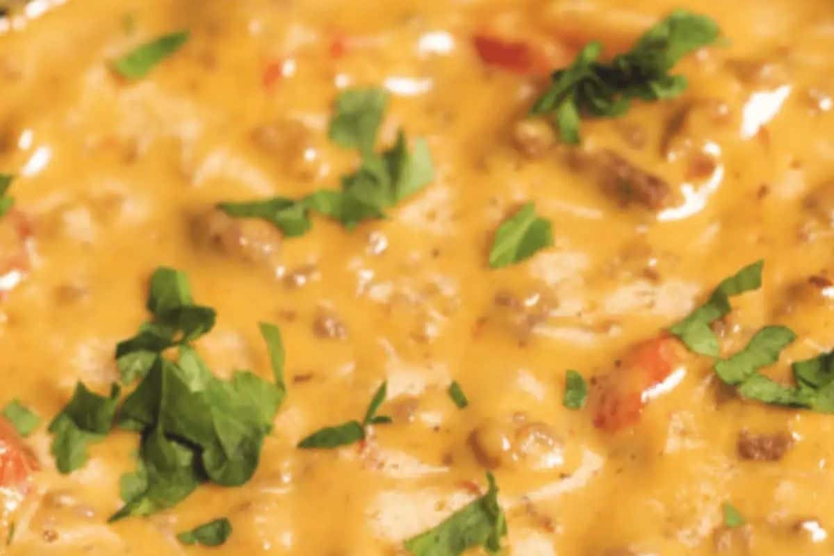 Close-up of creamy cheese dip with ground meat, diced tomatoes, and topped with chopped fresh cilantro—a crowd-pleasing Slow Cooker Dips favorite.