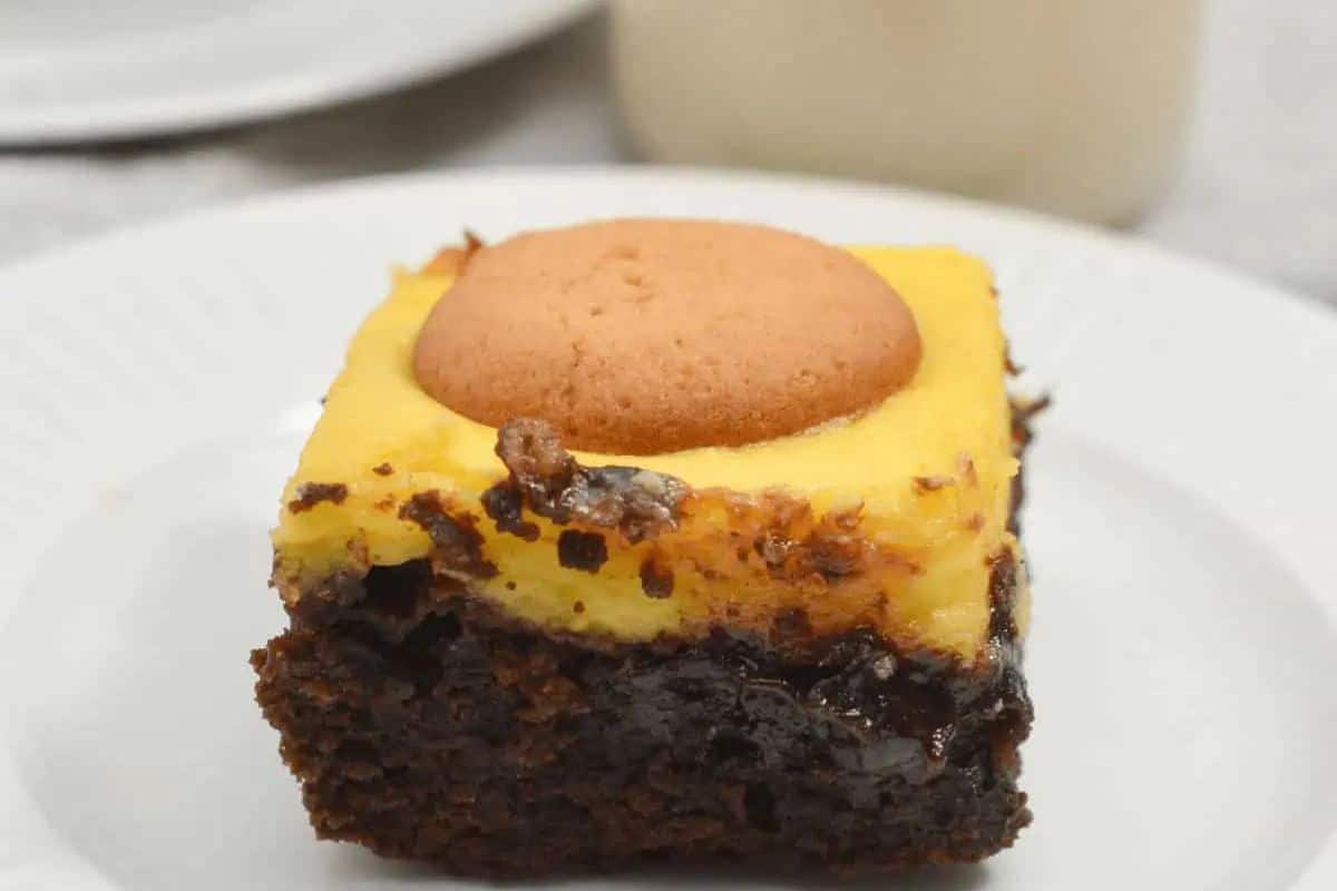 A slice of banana pudding brownies on a plate, showcasing a layer of banana pudding with a round biscuit perched on top, all resting atop a rich chocolate brownie base reminiscent of the finest blondies.