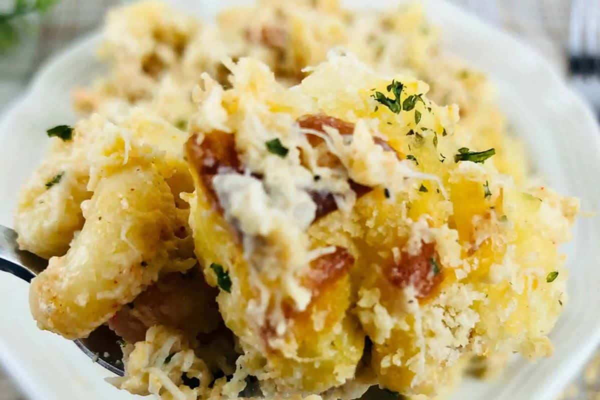 Seafood mac and cheese with a cheesy, creamy sauce and a crispy breadcrumb topping.