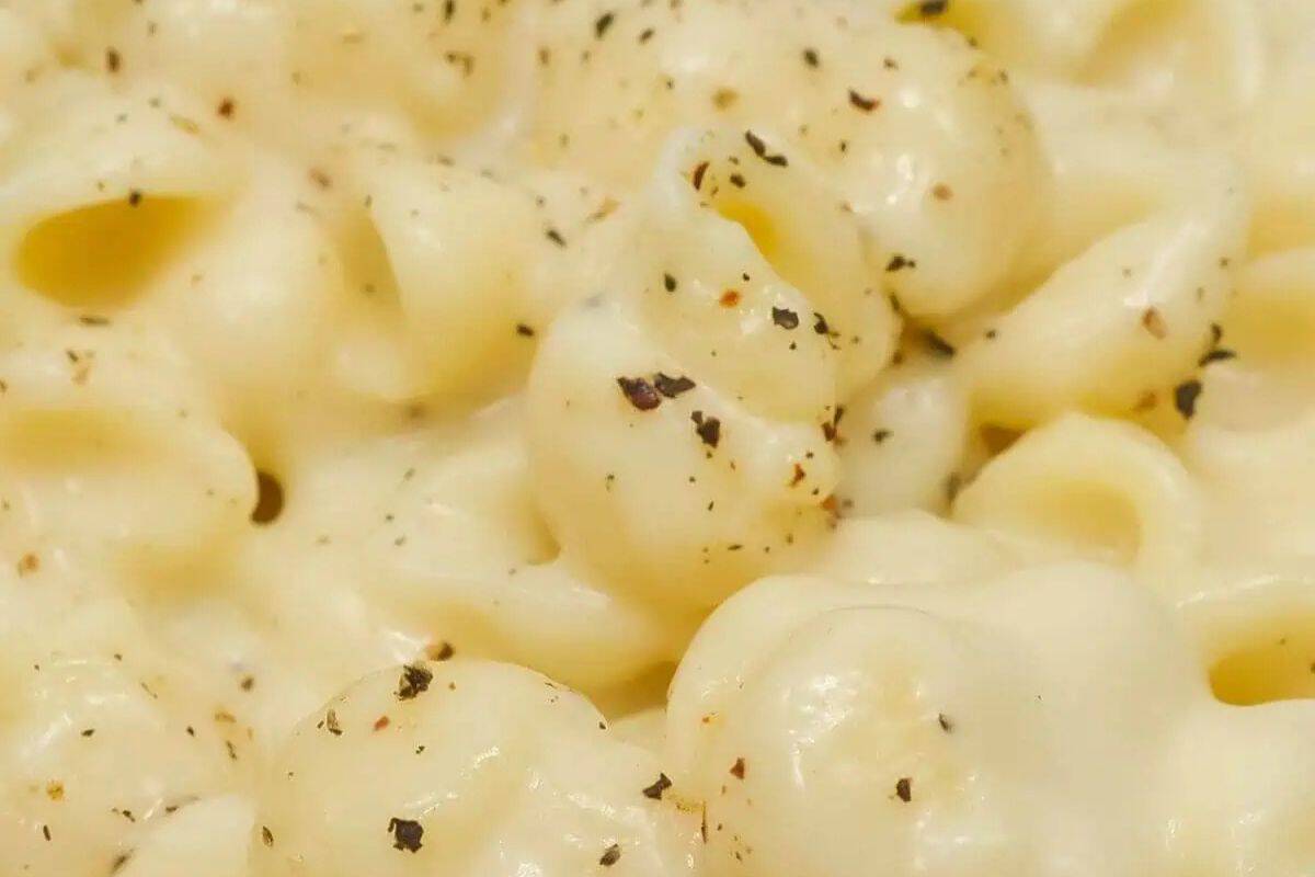 Close-up of some noodles with a white cheddar cheese sauce. 