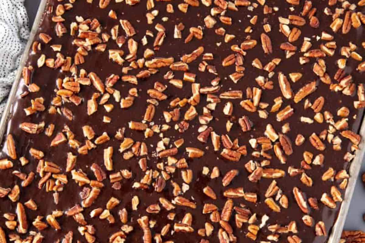 A sheet cake topped with chocolate frosting and chopped pecans—one of those crowd-pleasing desserts perfect for any creative bake sale.