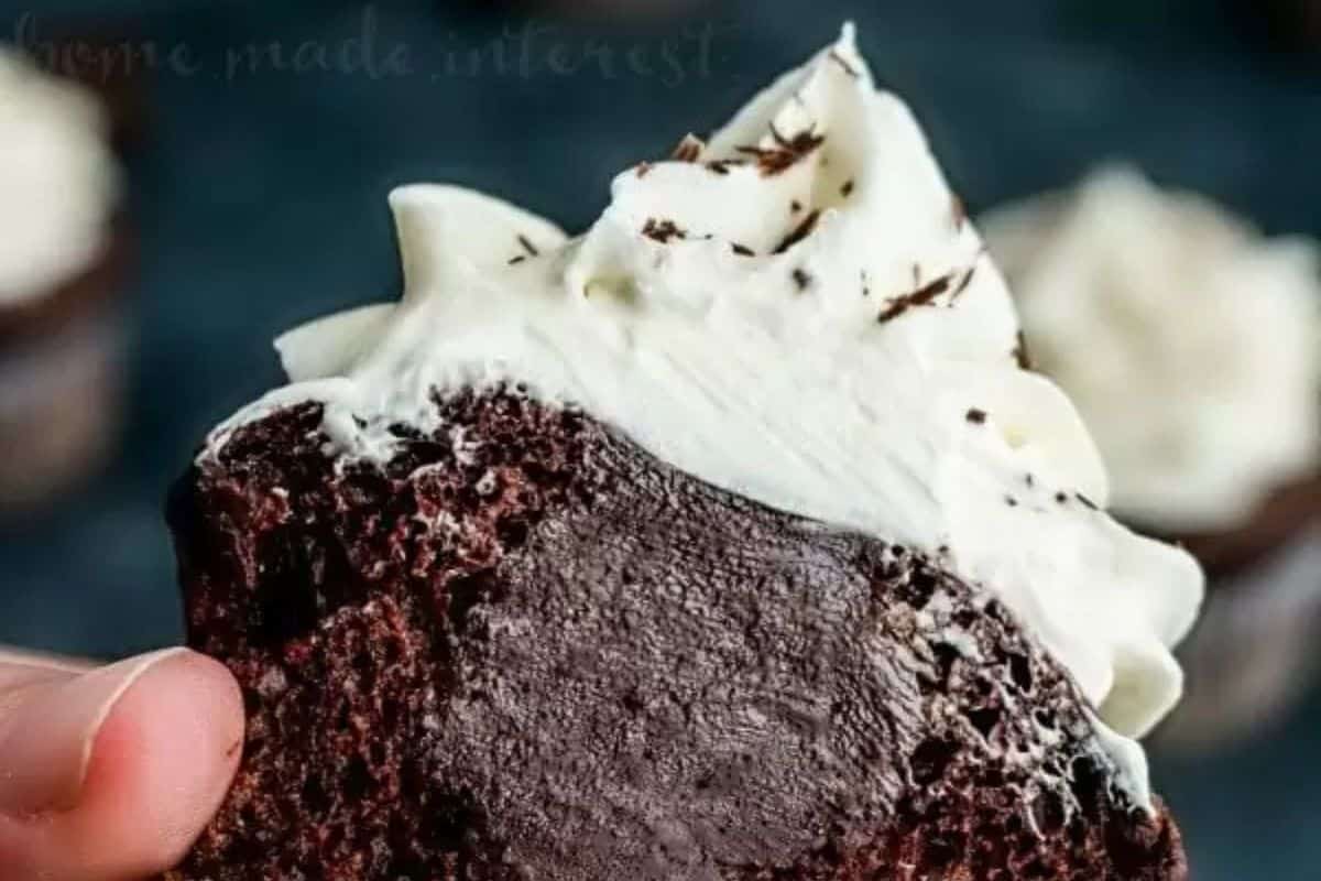 A person holding a chocolate cupcake with white frosting and chocolate shavings on top, perfect for any party or sweeter moment.