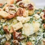 A close up of creamy Recipe, highlighting its rich texture and savory goodness.