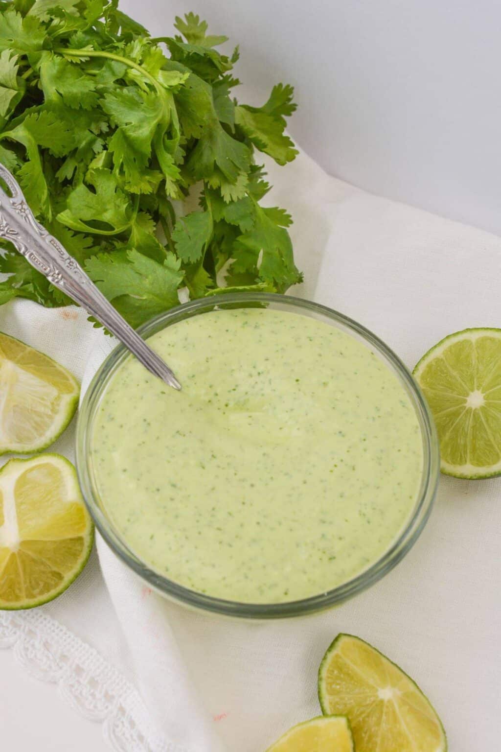 Cilantro Lime Sauce - It Is a Keeper