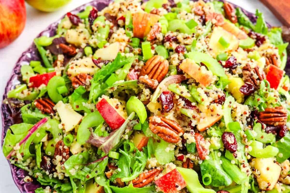 A colorful best spring salad with mixed greens, apples, pecans, cranberries, quinoa, and diced celery gracefully rests on a purple plate.