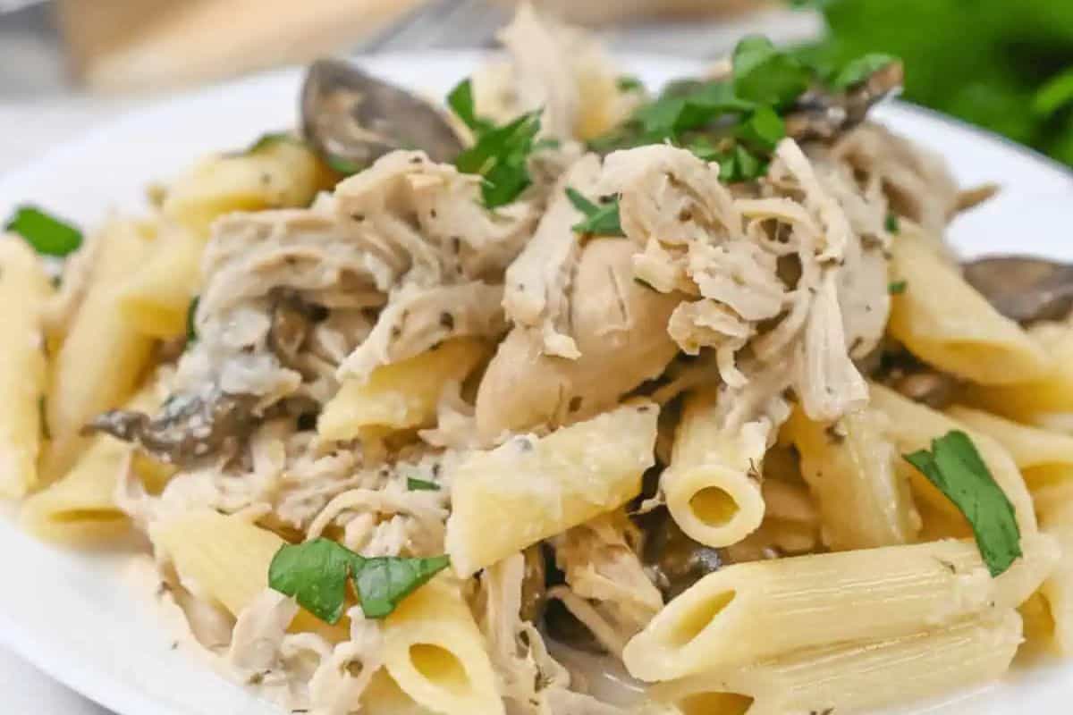A masterful plate of penne pasta topped with shredded chicken, mushrooms, and fresh green herbs—perfect for beginners looking to elevate their pasta dishes.