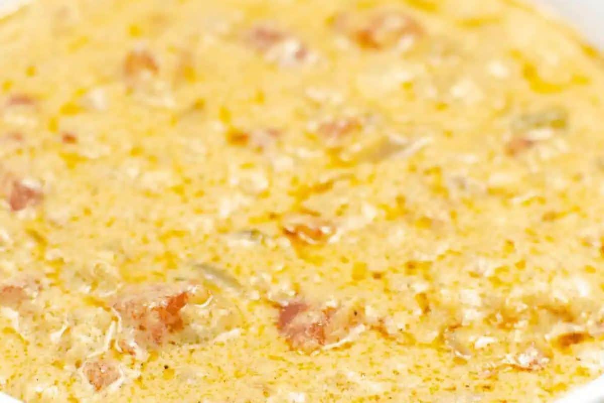 Close-up of a queso with chunks of tomatoes and bits of herbs perfect for a Cinco de Mayo party. The light brown and orange hues make it as eye-catching as it is delicious.