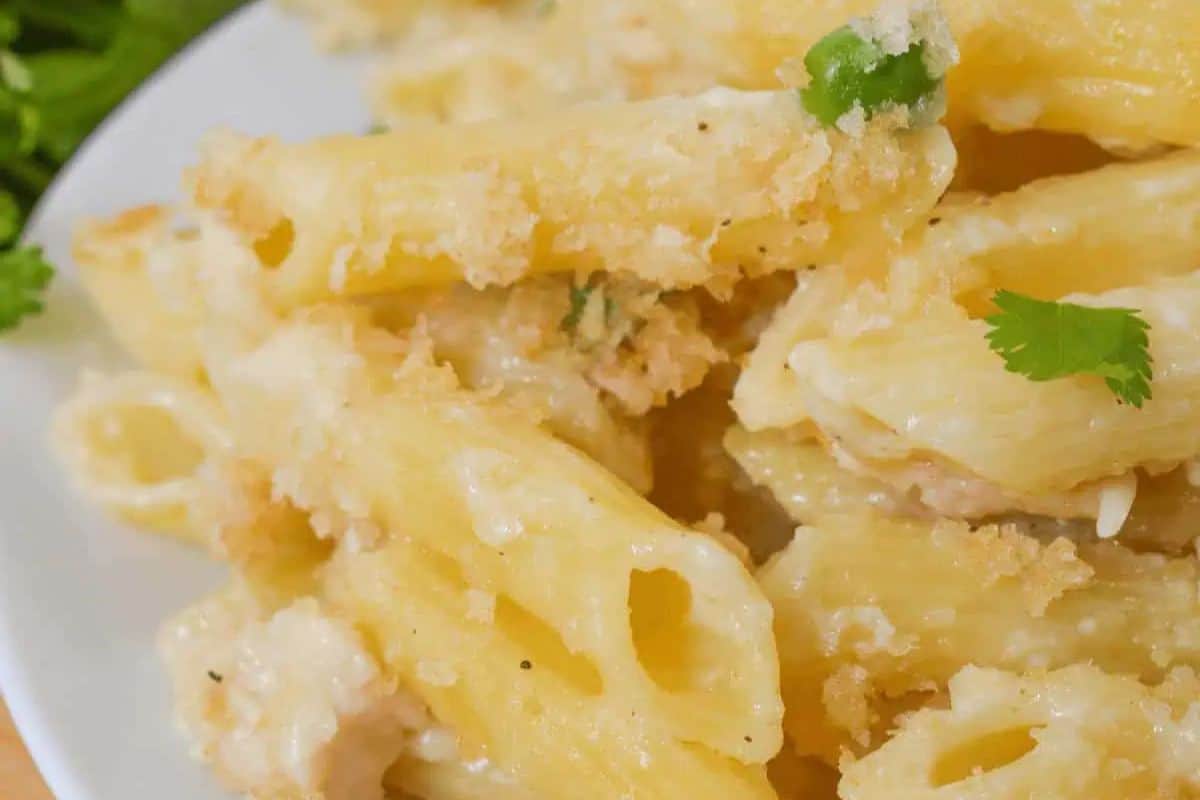 Close-up of a must-try creamy baked penne pasta, a delightful addition to pasta dishes, topped with grated cheese and garnished with parsley on a white plate.