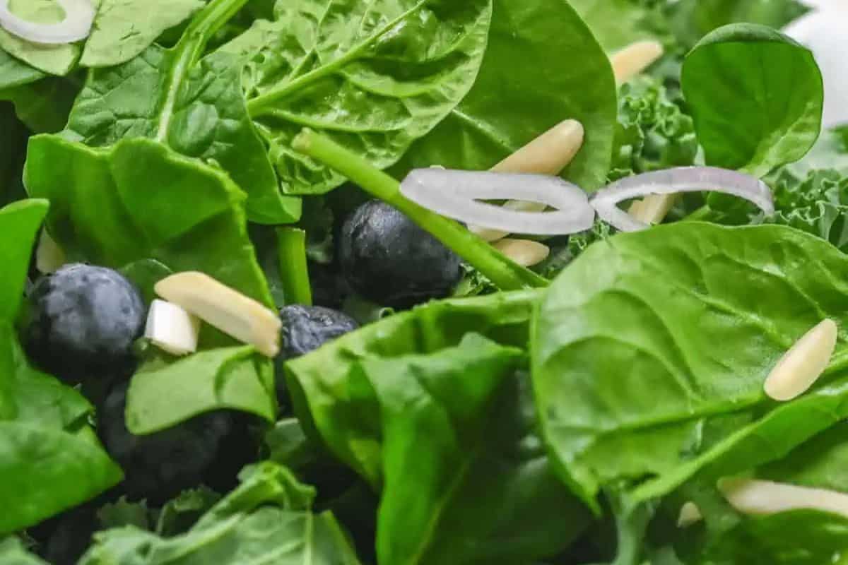 Discover the best spring salad with a vibrant mix of spinach leaves, blueberries, almond slivers, kale, and thinly sliced onions. This refreshing dish is perfect for any occasion when searching through salad recipes full of flavor and vitality.