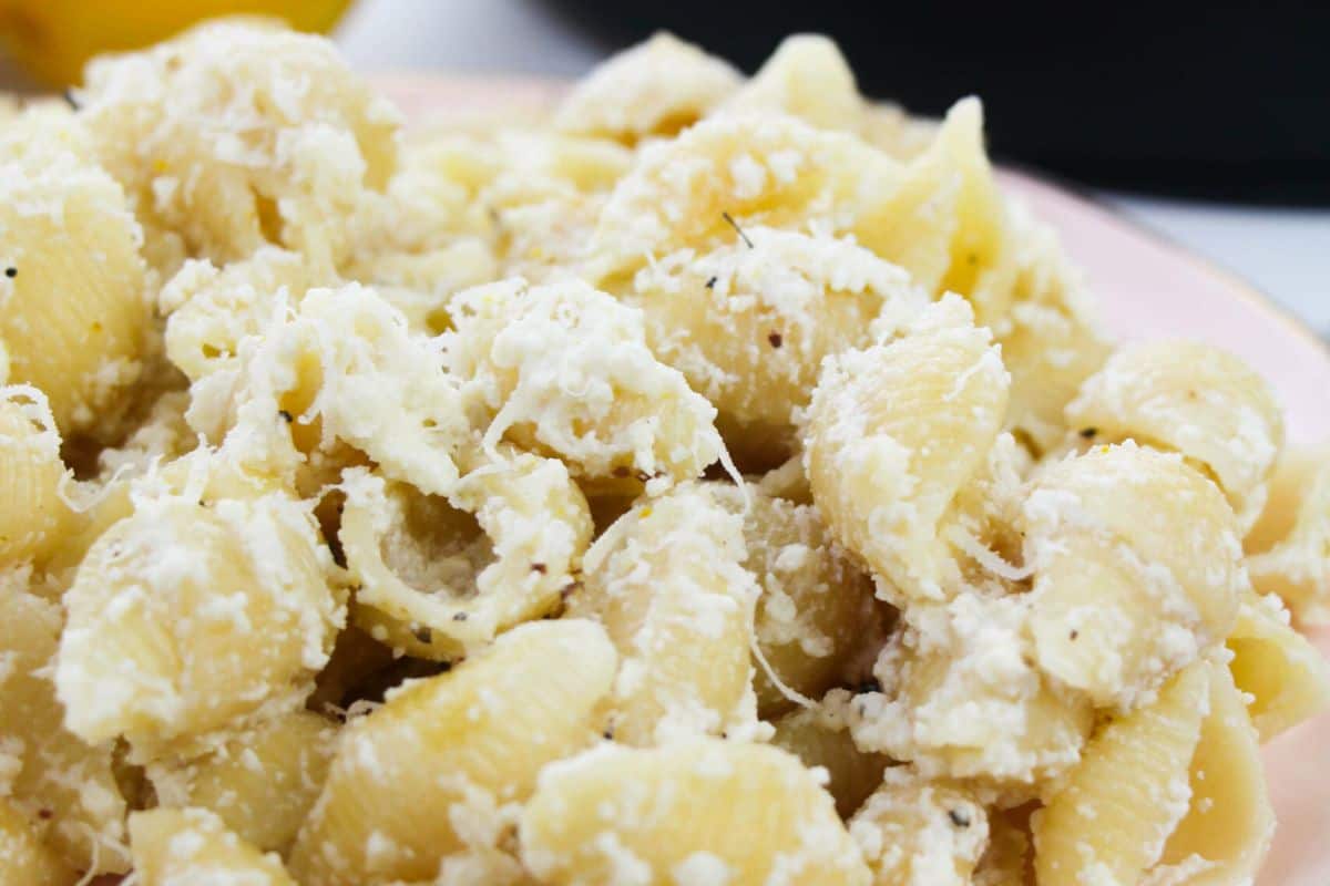 Close-up of delicious pasta shells, perfect for beginners, topped with ricotta cheese on a plate.