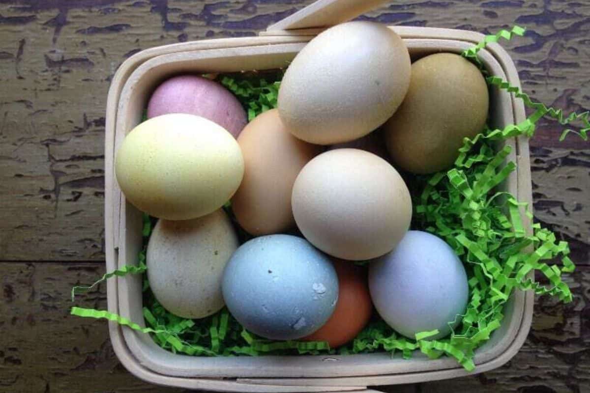 A basket contains nine multicolored eggs nestled in green decorative grass, showcasing creative ideas perfect for Easter 2025 celebrations.