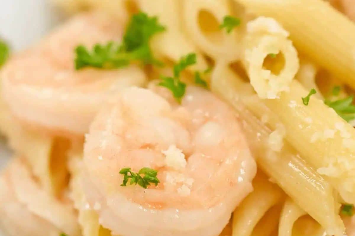 Masterfully crafted shrimp pasta with penne, garnished with parsley and grated cheese, showcases a symphony of flavors perfect for both beginners and seasoned pasta dish enthusiasts.