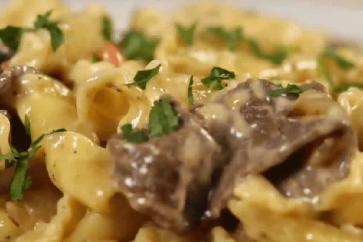 A must-try for pasta dishes enthusiasts: a close-up of creamy pasta adorned with sliced cheesesteak and garnished with chopped parsley, perfect for beginners.