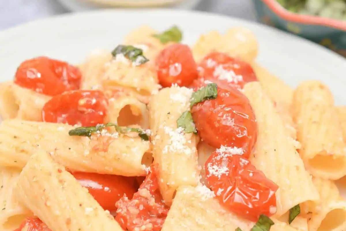 A vibrant pasta dish featuring rigatoni coated in a rich sauce made from slow-roasted cherry tomatoes. The juicy tomatoes burst with flavor, complemented by fresh basil, a sprinkle of Parmesan, and a drizzle of olive oil.