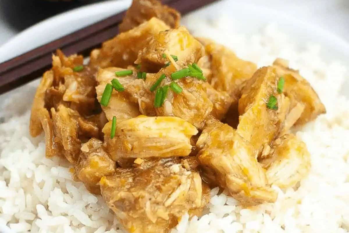 A plate of white rice, topped with chunks of saucy chicken and garnished with chopped green onions, brings restaurant-inspired recipes to your kitchen.