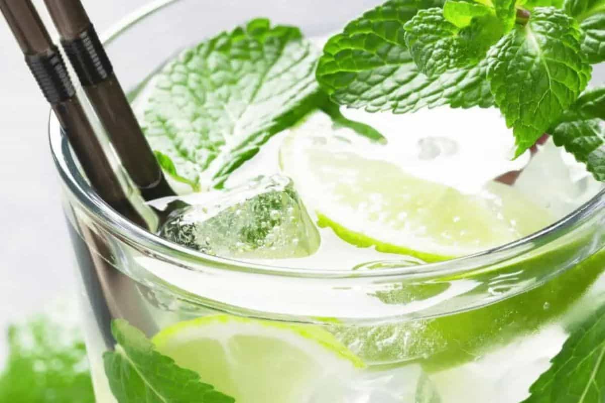 A close-up of a glass of mojito with ice cubes, lime slices, fresh mint leaves, and two metal straws—one of the timeless cocktails everyone should know.