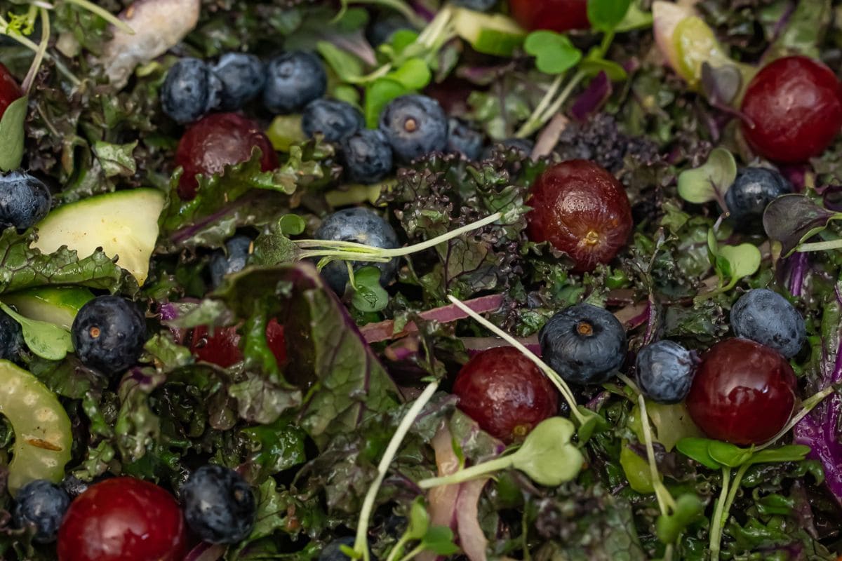 A close-up overhead shot of a Kale Salad with Blueberries. Dark green, curly kale leaves are mixed with fresh blueberries, red grapes, and possibly sprouts or shredded red cabbage.