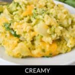 A serving of velveeta broccoli rice casserole on a white plate, featuring tender broccoli, fluffy rice, and rich melted cheese in every bite.
