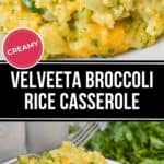 A plate and serving dish of creamy Velveeta broccoli rice casserole garnished with herbs, showcasing visible rice, broccoli, cheese, and onions. This classic velveeta broccoli rice casserole makes a comforting family favorite.