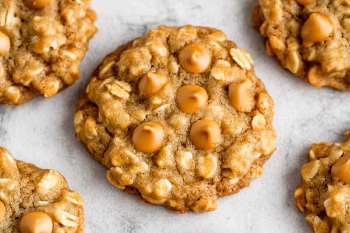 Close-up of oatmeal cookies with rich butterscotch chips on a gray surface. Five cookies are visible, showcasing their textured appearance.