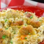 A serving of creamy hot dish topped with golden browned pieces, is plated on a red dish.