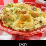 A serving of Chicken Bacon Ranch Tater Tot Casserole, garnished with herbs, sits on a red plate atop a checkered tablecloth.