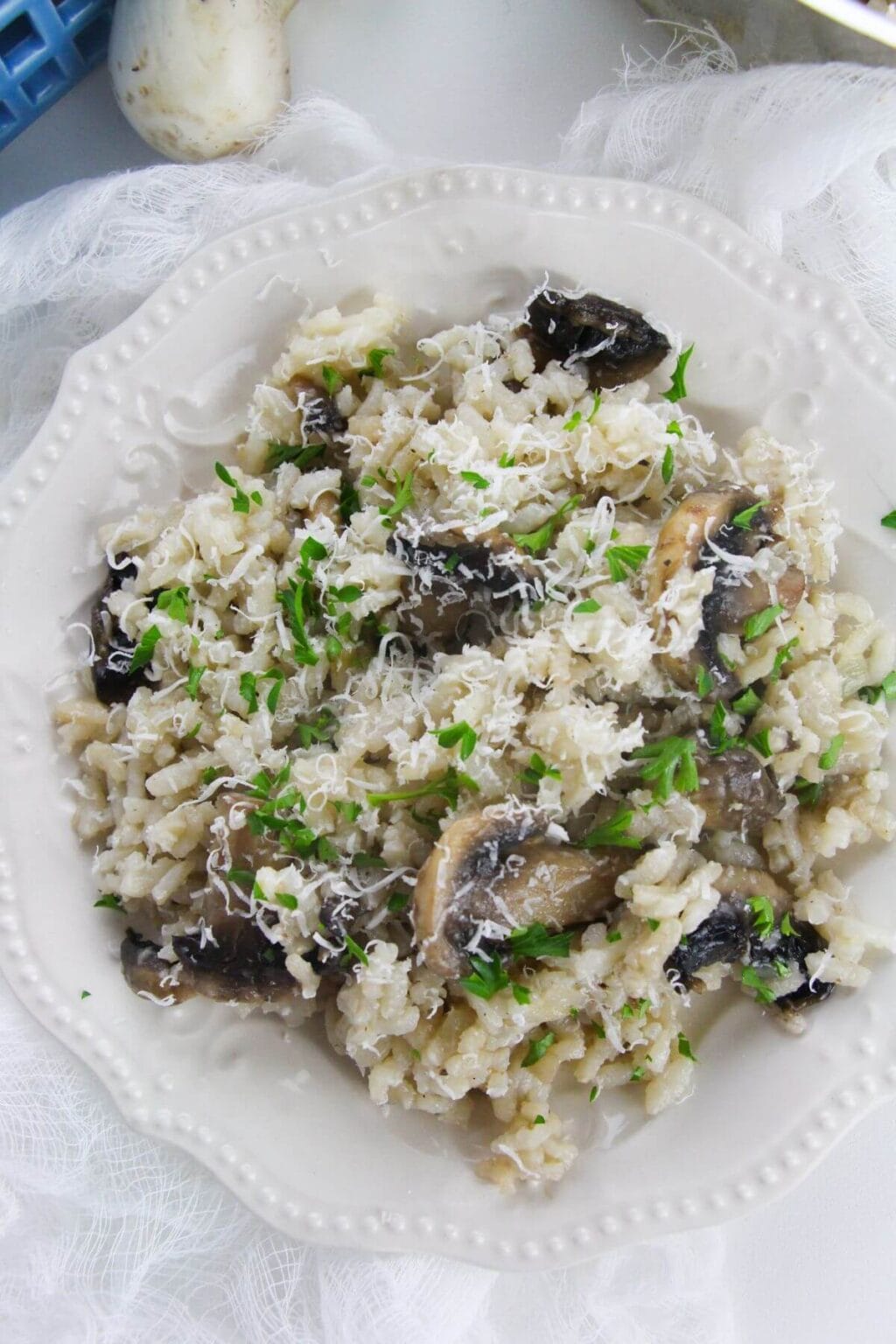 A white plate with Creamy dish garnished with grated cheese and chopped parsley.