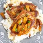 Two pieces of meat topped with fruit chunks served over a bed of white rice on a decorative gray plate.