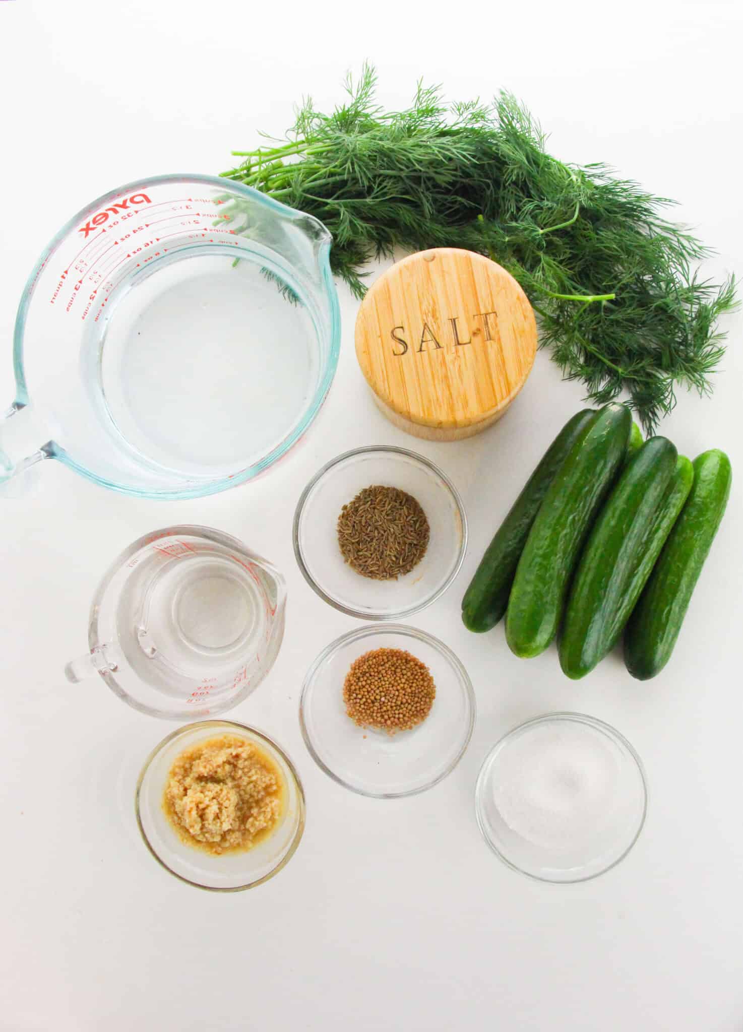 Ingredients arranged on a white surface, including cucumbers, dill, salt, water, vinegar, minced garlic, and spices in small bowls.