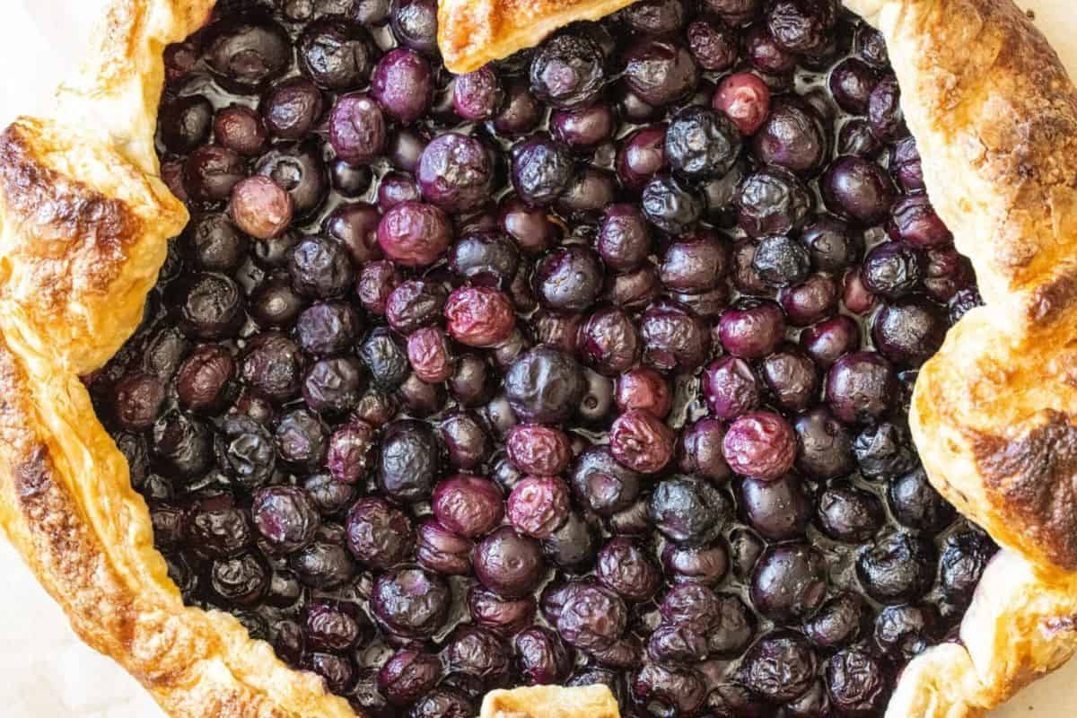 A close-up of a rustic galette with golden-brown crust and a filling of baked blueberries—one of the best summer desserts for anyone seeking easy dessert recipes.