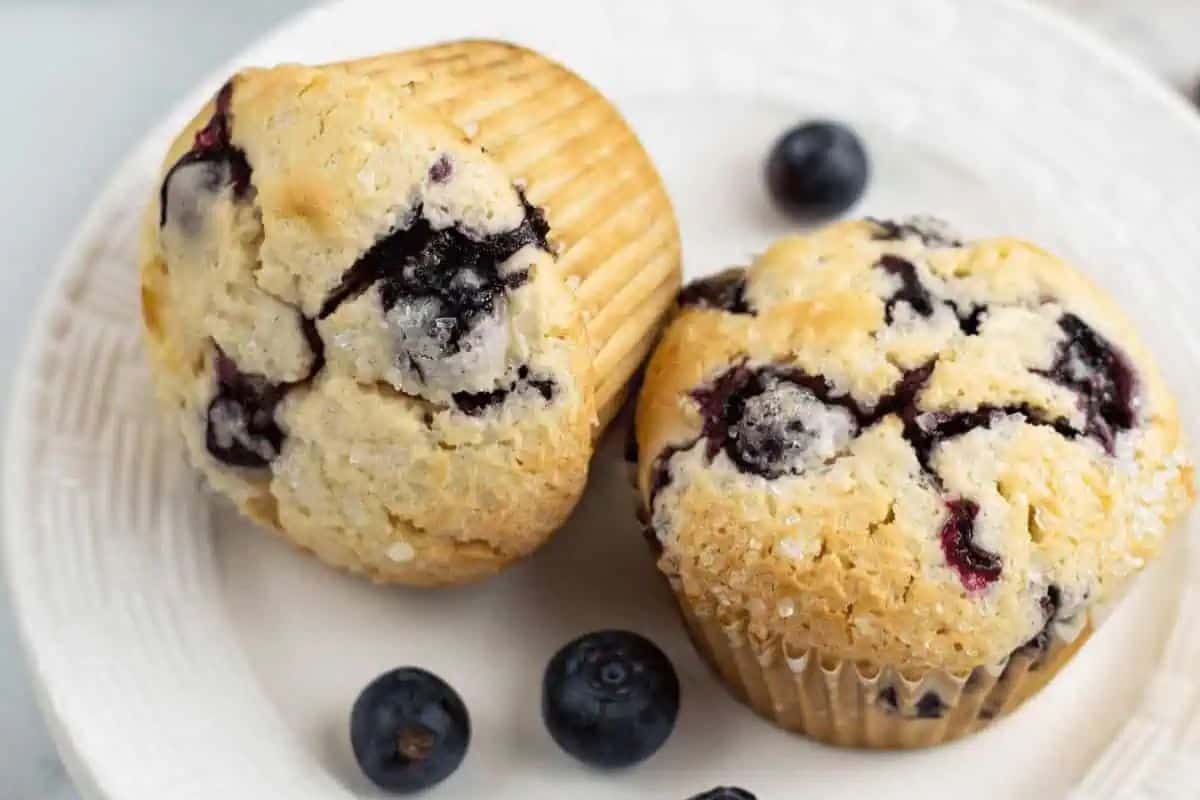 Image of two blueberry lemon muffins, served on a white plate with some blueberries.